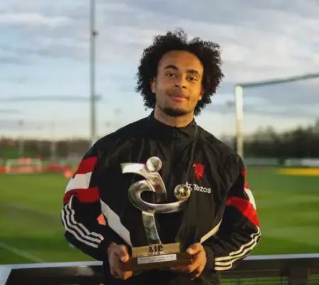 的全能性, vjyzb 的全能性, vjyzb